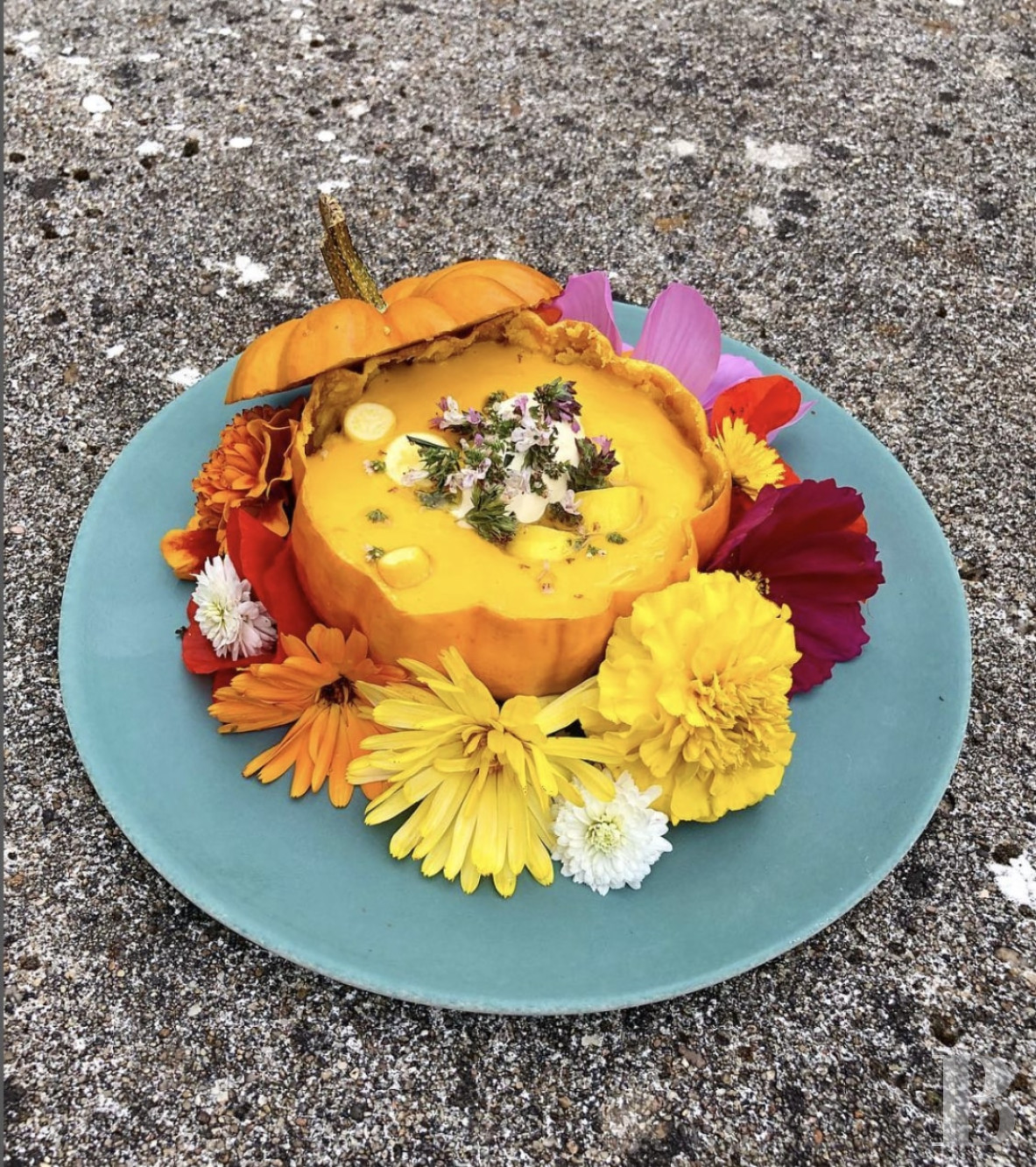 Au cœur du parc Naturel Régional du Perche,  une maison-hôtel de campagne aux accents contemporains - photo  n°35